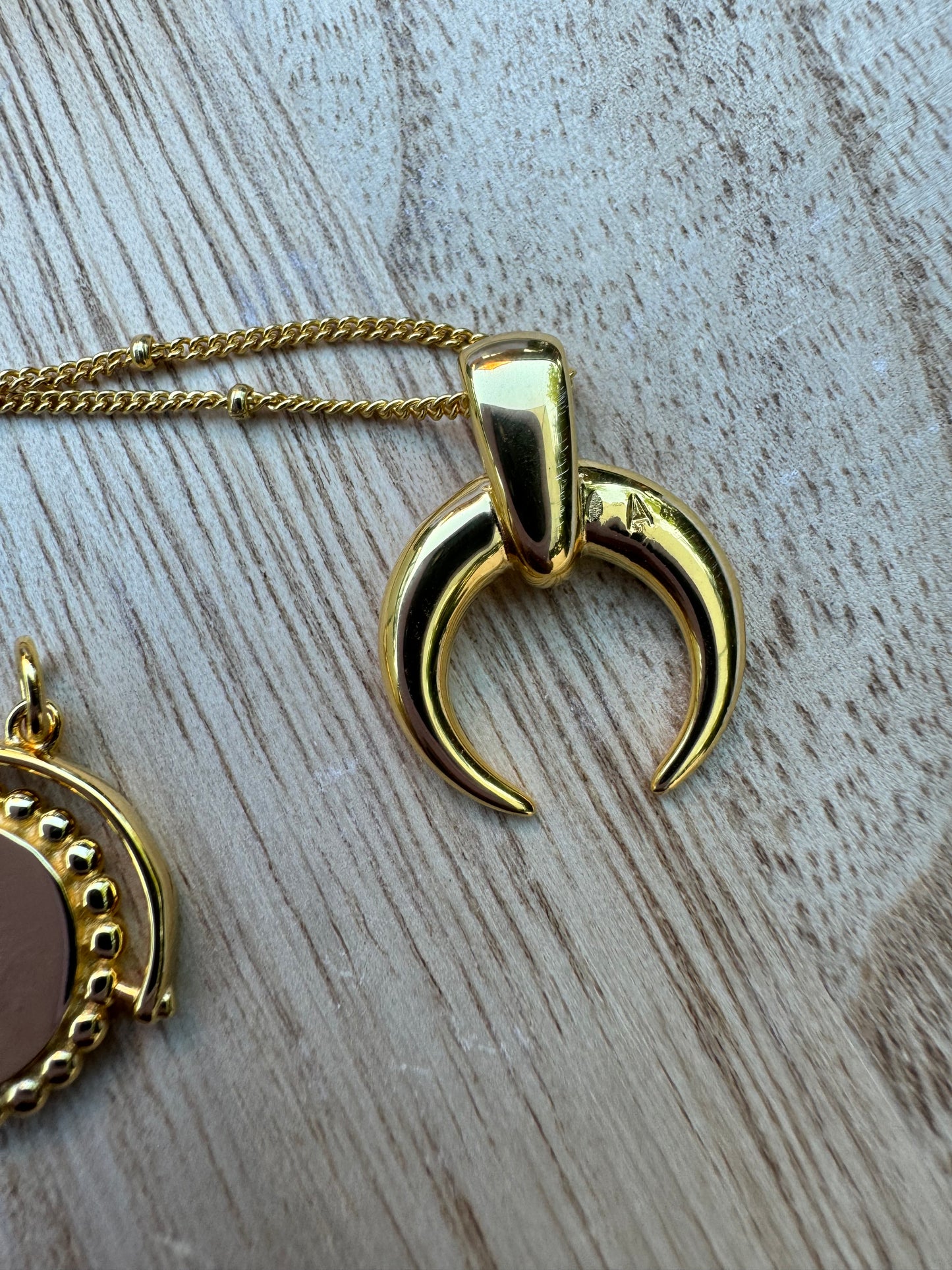 SIENNA Horn Necklace (Sterling Silver / Gold Vermeil)