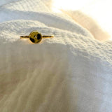 DELILAH Disc Initial Ring