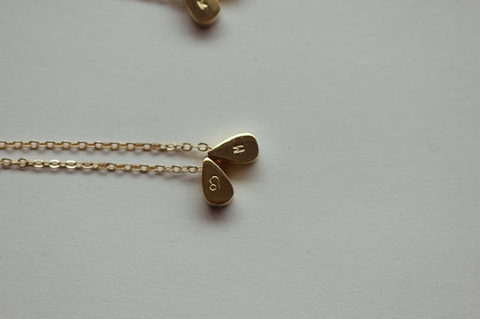 Waterproof IVY Initial & Zodiac Teardrop Necklace